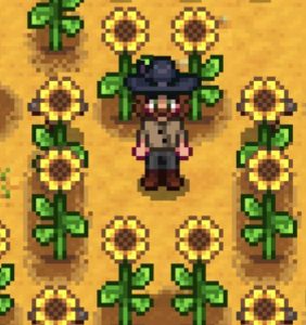 Screenshot aus Stardew Valley. Person steht auf Sonnenblumenfeld.