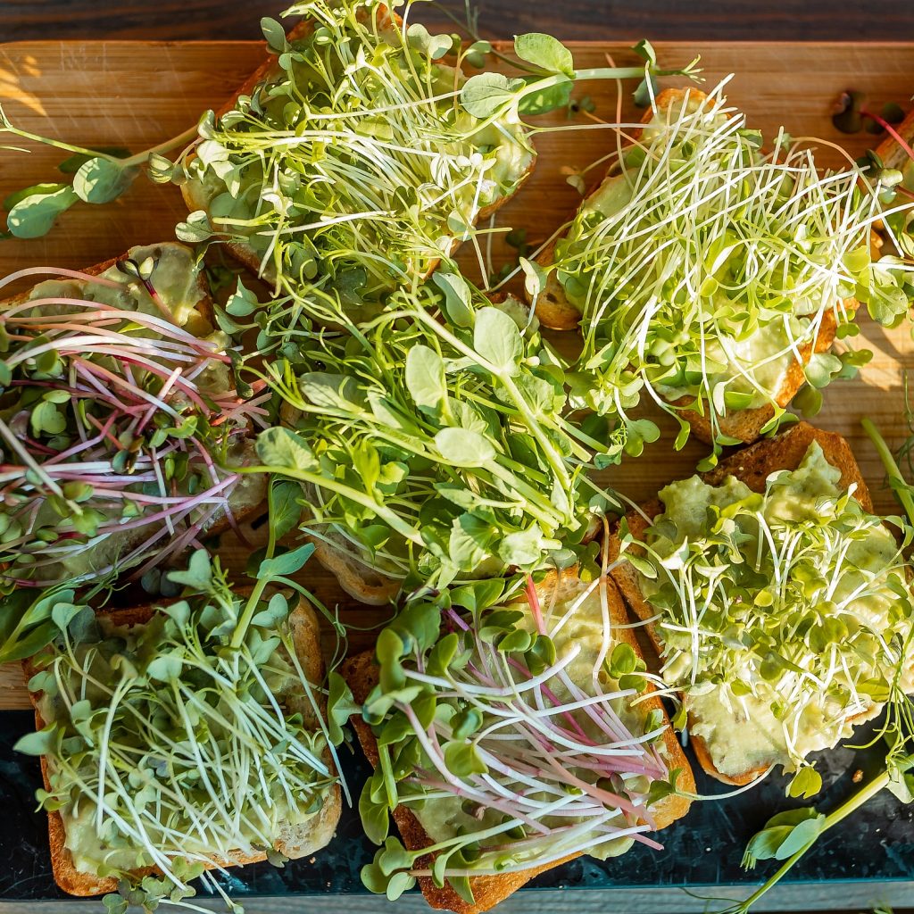 Schneidbrett aus Holz. Darauf mit Microgreens belegte Toastbrote.